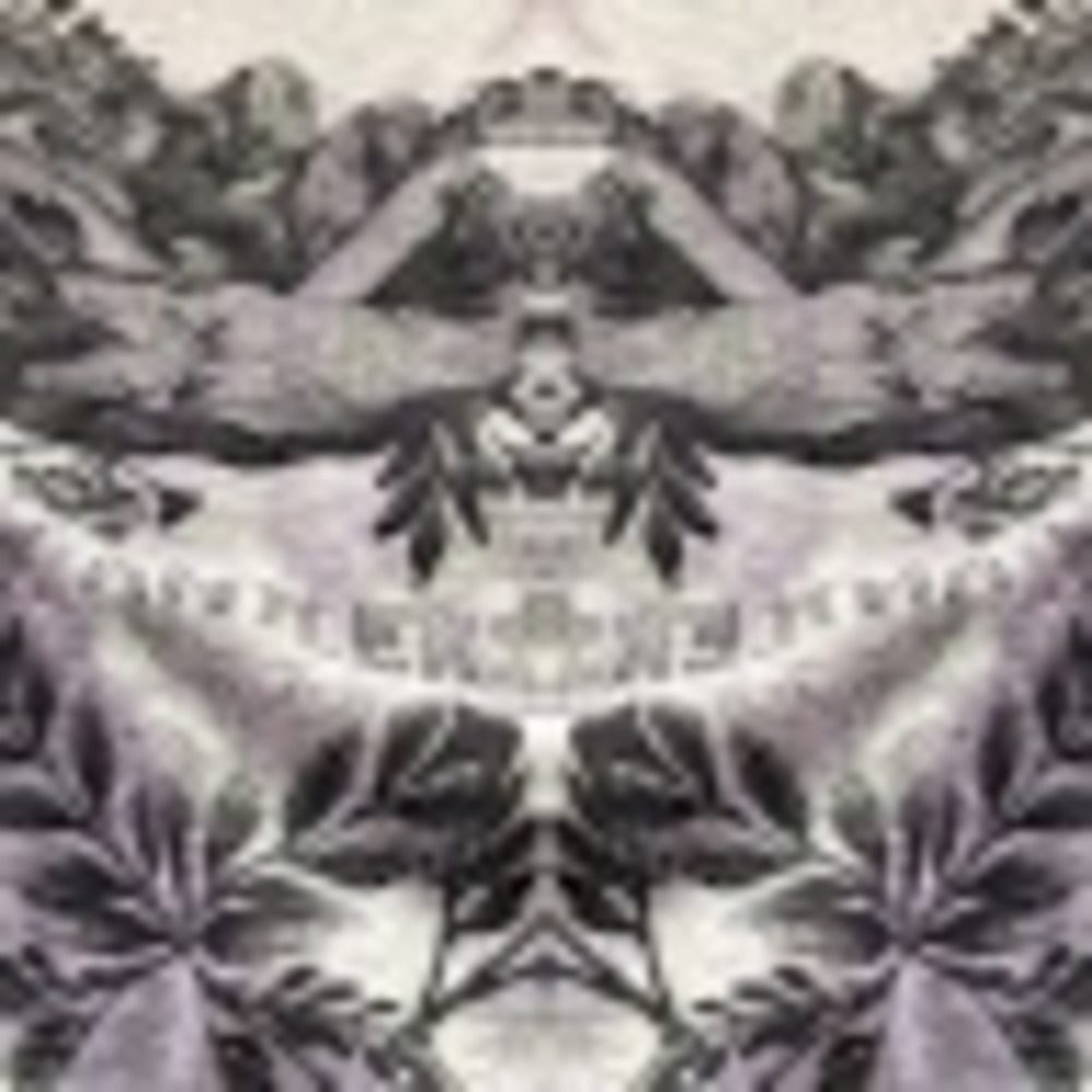 Meet your Posher, Gabe